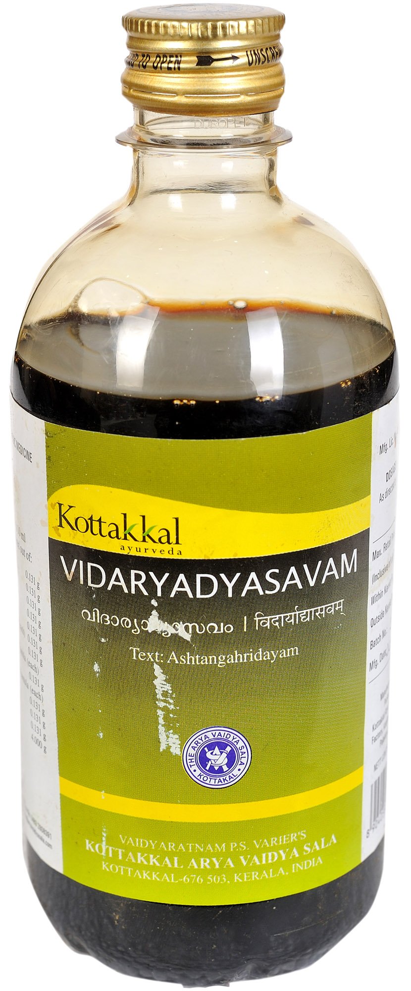 Vidaryadyasavam - book cover