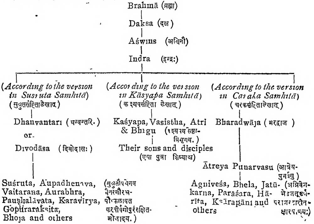 Schools (Lineage) of Ayurveda