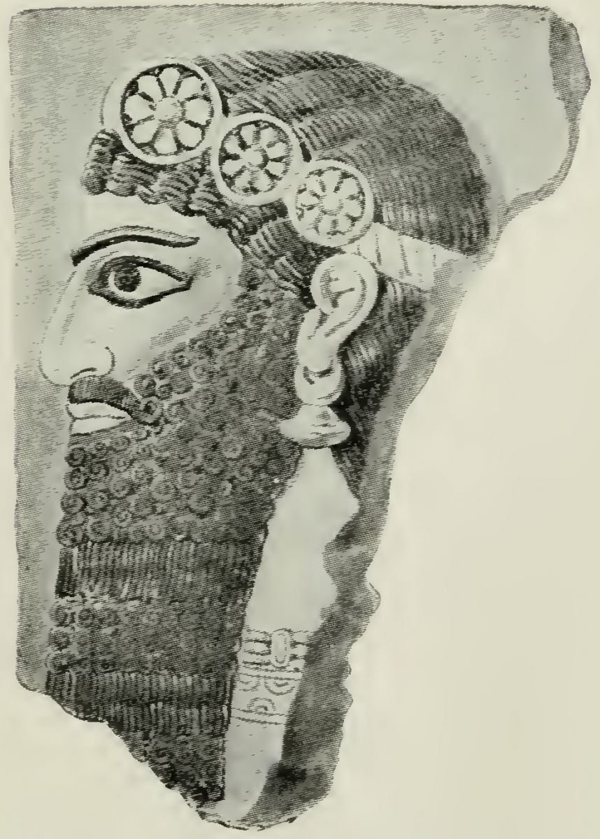  Fig. 2. Assyrian Type 