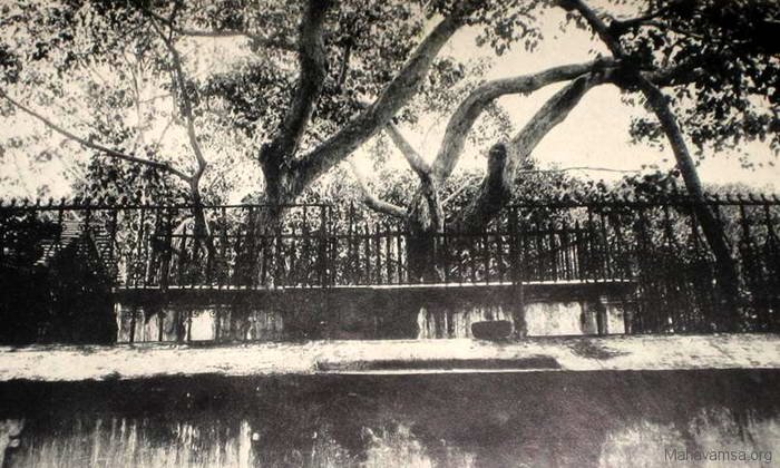 Jaya Sri Maha Bodin-wahansa