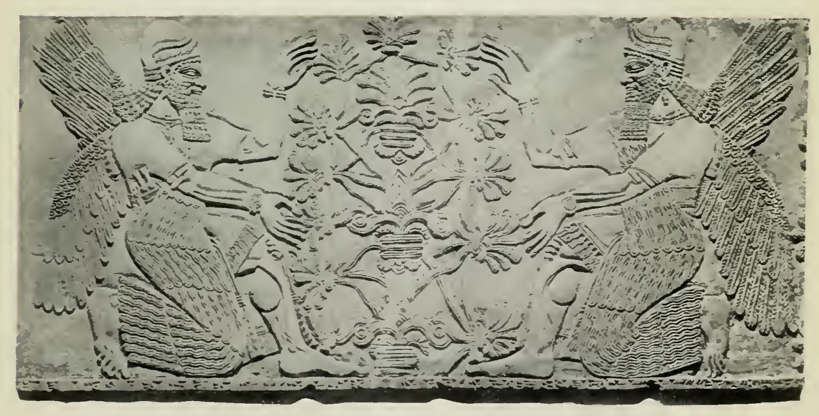 Fig. 2. Kneeling Winged Figures before Sacred Tree