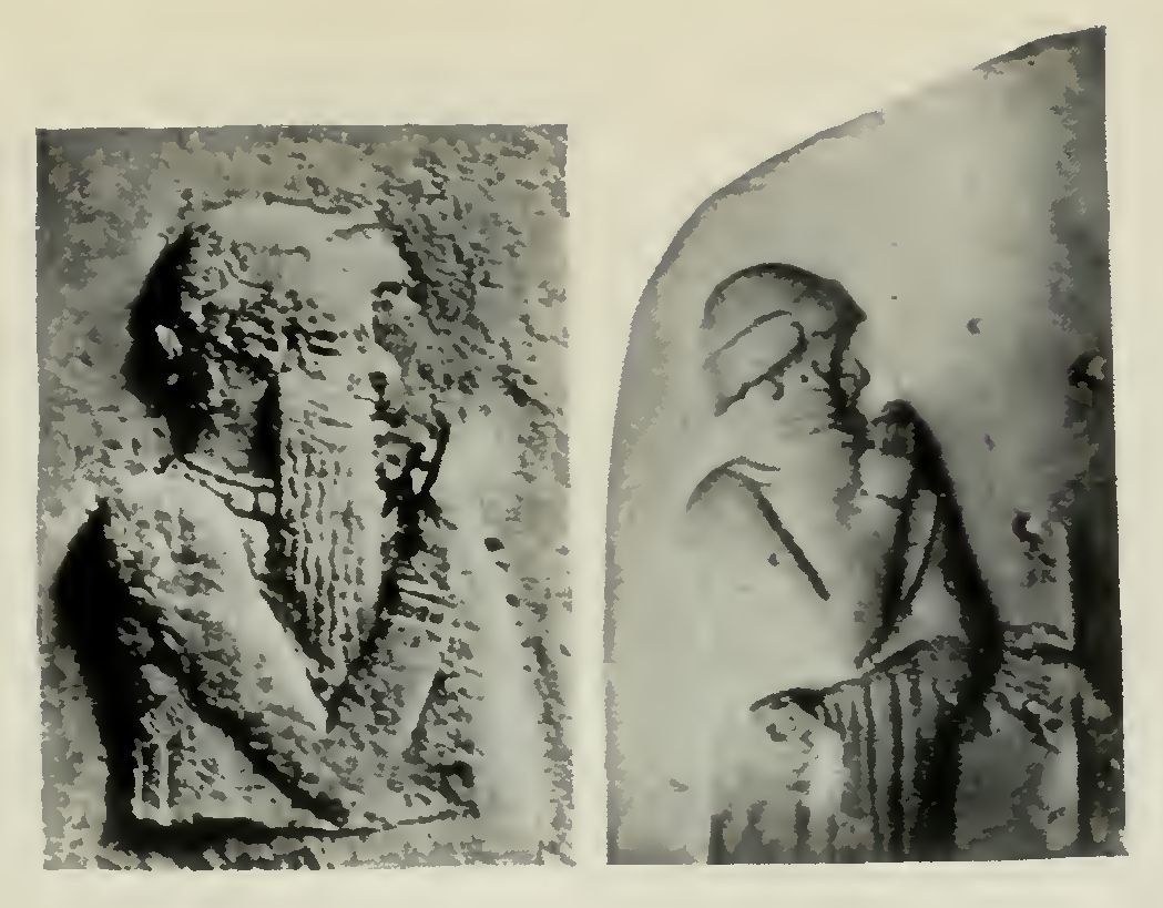  Semitic Types; Fig. 1. Two Portraits of Hammurapi, King of Babylonia (c. 1958-1916 B.C.) 
