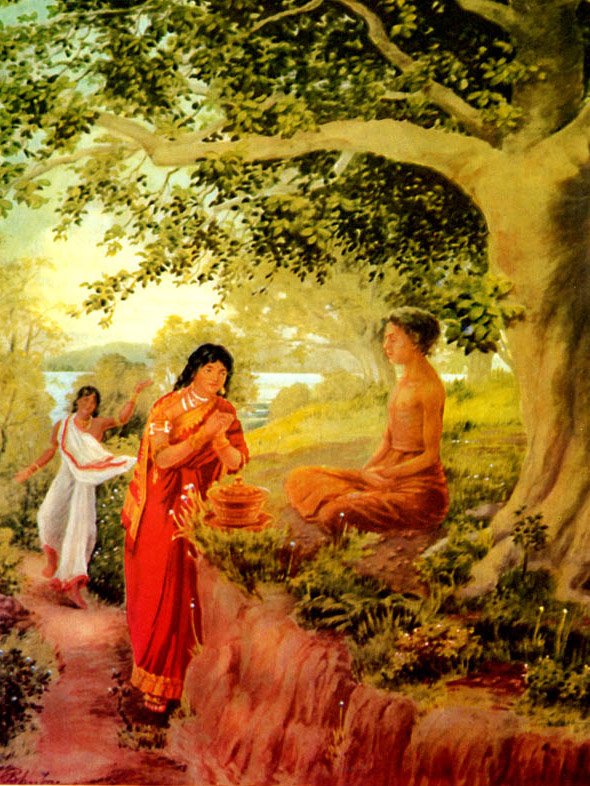 Apadana commentary (Atthakatha) - book cover
