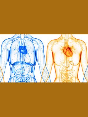 Journal of Metabolic Health - book cover