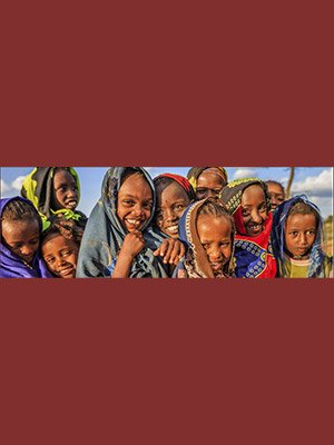 African Journal of Primary Health Care and Family Medicine - book cover