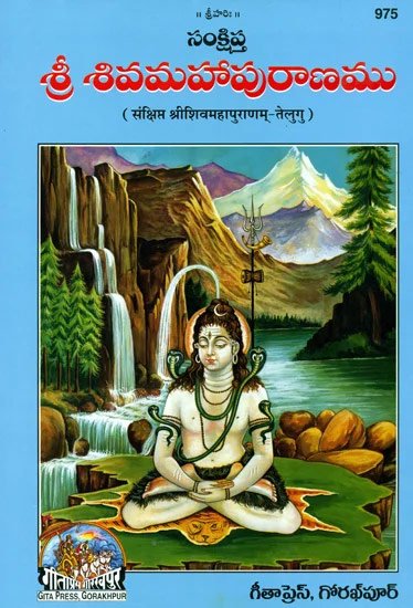 lord shiva purana in english book