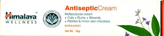 Antiseptic Cream - Multi Purpose Cream for Cuts, Burns, Wounds, Rashes and Minor Skin Infections. - book cover