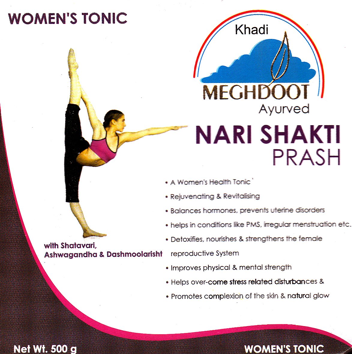 Khadi Nari Shakti Prash - book cover