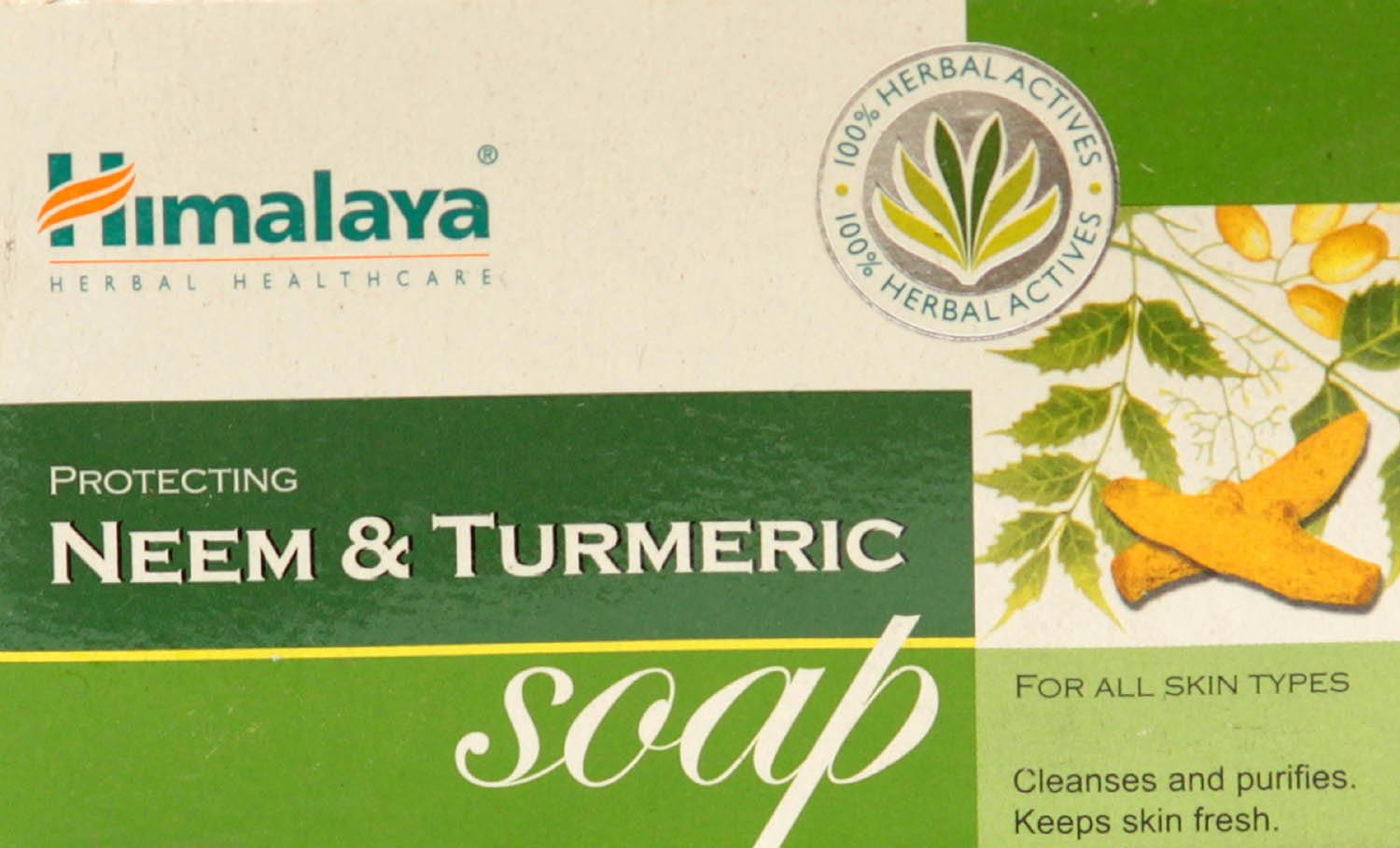 Protecting Neem & Turmeric Soap - book cover