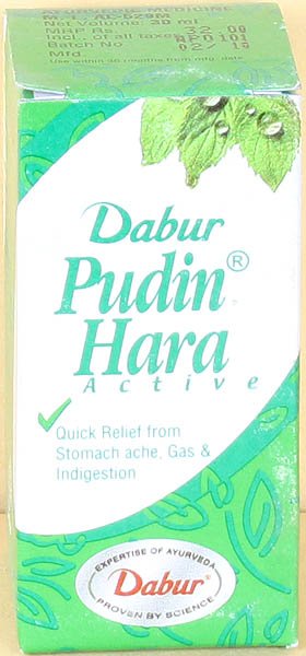 Pudin Hara Active (Quick Relief from Stomach Ache, Gas & Indigestion): Syrup - book cover