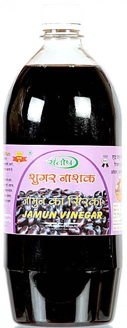 Santosh Jamun (Black Berry) Vinegar (Remedy for Diabetes) - book cover