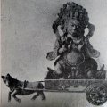 photo detail