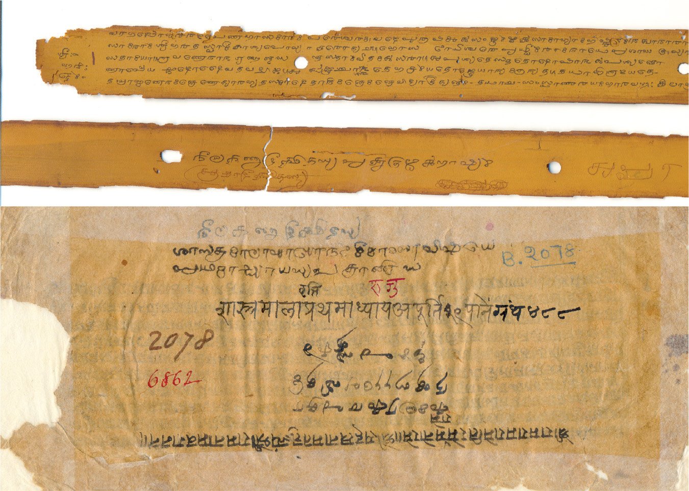 Mansuscript with signature of Nilakantha Dikshita