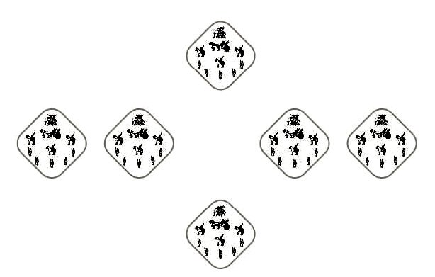 Drohaka Array