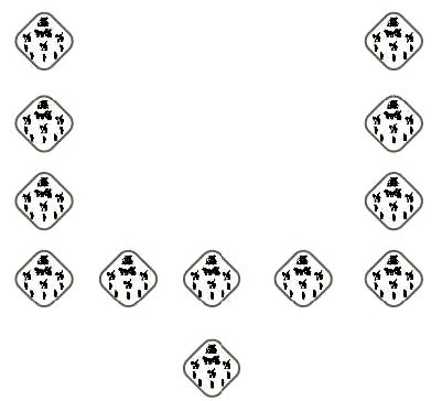 Camumukha Array