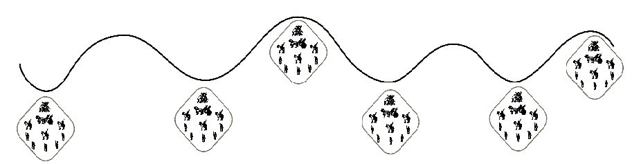 Sancari Array