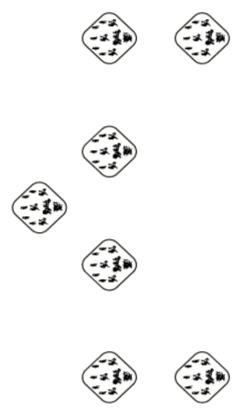 Karapatanti Array