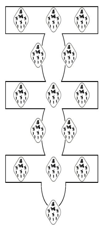 Vajra Array (1)