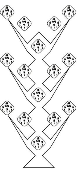 Vajra Array (2)