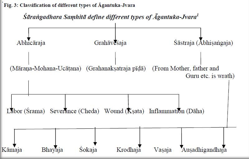 Types of Agantuka jvara (fever)