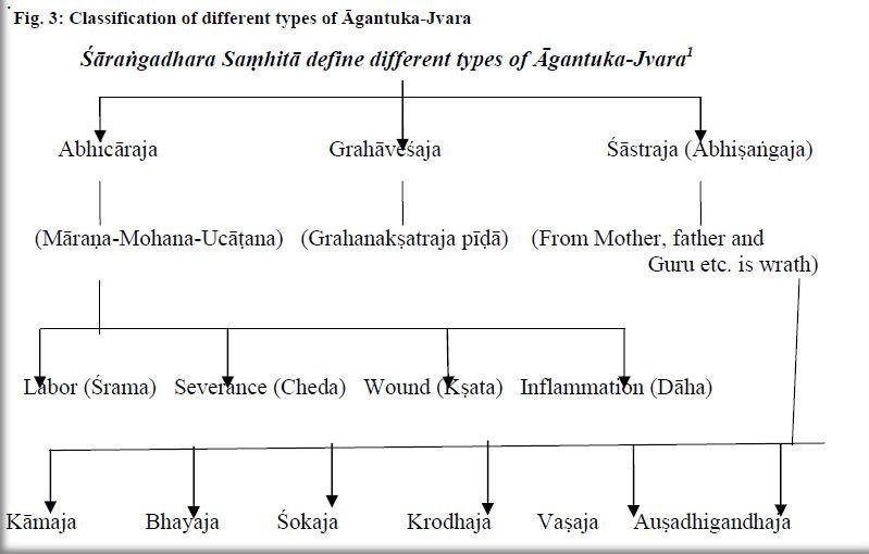 Types of Agantuka jvara (fever)