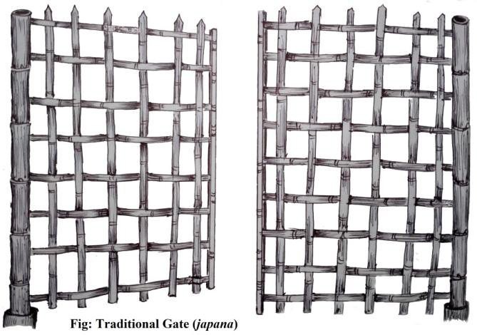 Japana: Traditional gate