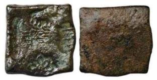 seal