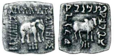 seal
