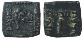seal
