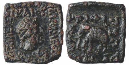 seal
