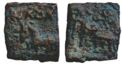 seal