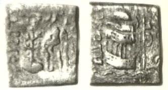seal