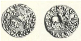 seal