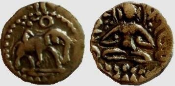 seal