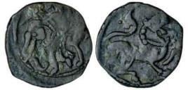 seal