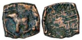 seal