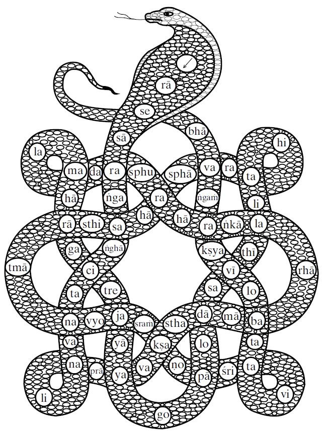 The Snake diagram