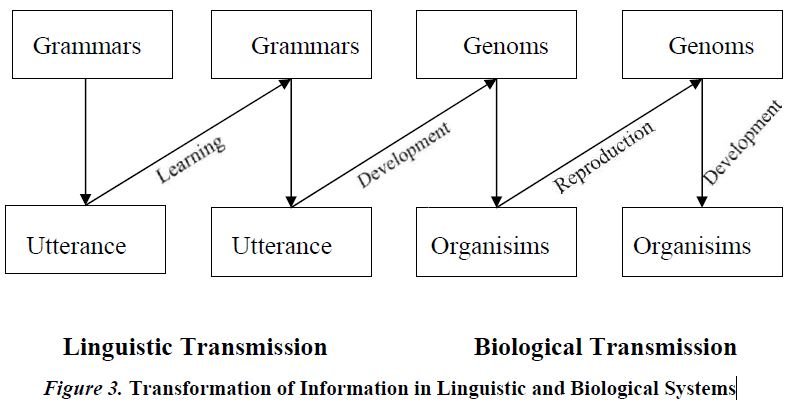 Transformation of Information