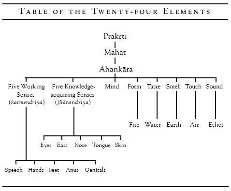 Twenty-four elements