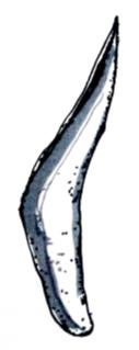 Weapon: Ili