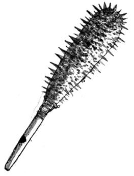 Weapon-shataghni