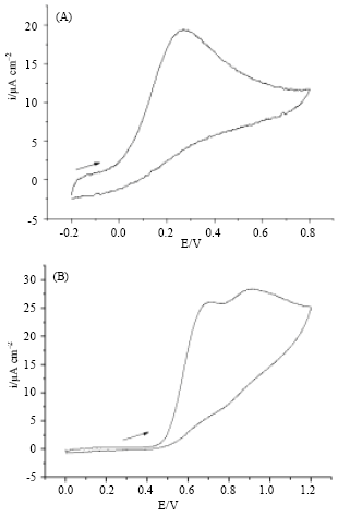 Image for - In vitro Evaluation of Antioxidant Capacity of Algerian Propolis by Spectrophotometrical and Electrochemical Assays