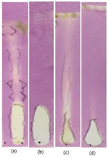 Image for - Phytochemical Investigation and Evaluation of Antibacterial and Antioxidant Potentials of Asparagus racemosus