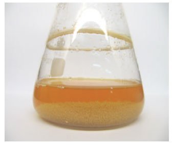 Image for - Statistical Optimization of Process Variables for Antimicrobial Metabolites Production by Streptomyces anulatus NEAE-94 Against some Multidrug-resistant Strains