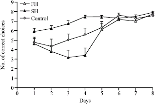 Image for - A Critical Period for Deleterious Effect of Prenatal Alcohol Exposure on Working Memory