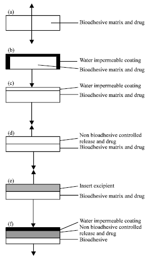 Image for - An Exhaustive Review on Recent Advancement in Pharmaceutical Bioadhesive Used for Systemic Drug Delivery Through Oral Mucosa for Achieving Maximum Pharmacological Response and Effect