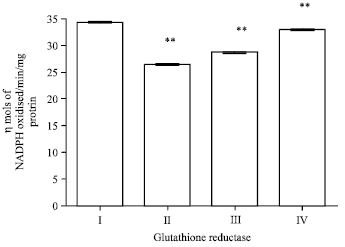 Image for - Ameliorating Effect of Ethanol Leaf Extract of Ficus hispida Linn. on Amyloid beta Aβ (25-35) Induced Cognitive Deficits and Oxidative Stress in Alzheimers Mice