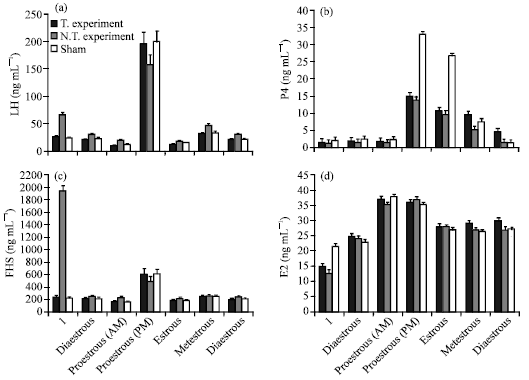 Image for - Endocrine Function and Duration Time of Estrous Cyclicity of the Ovariectomized Recipiented Neonate Vitrified Ovarian Grafts Mice after Treatment with Melatonin