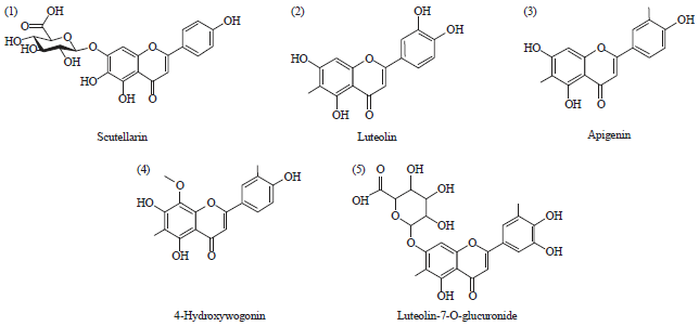 Image for - Phytochemical Analysis, Antibacterial Activity and Mode of Action of the Methanolic Extract of Scutellaria barbata Against Various Clinically Important Bacterial Pathogens