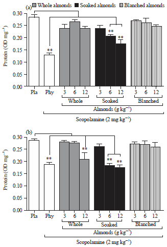 Image for - Soaked Almonds Exhibit Vitamin E-dependent Memory Protective Effect in Rodent Models